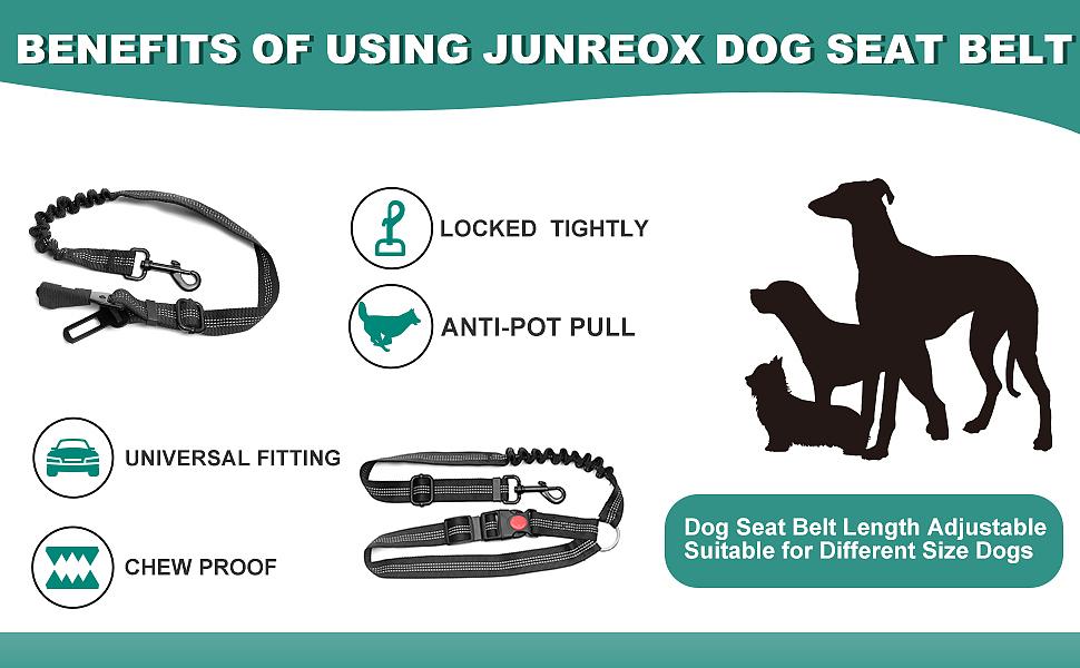 车载牵引绳拍摄亚马逊跨境电商主图设计产品摄影视频制
