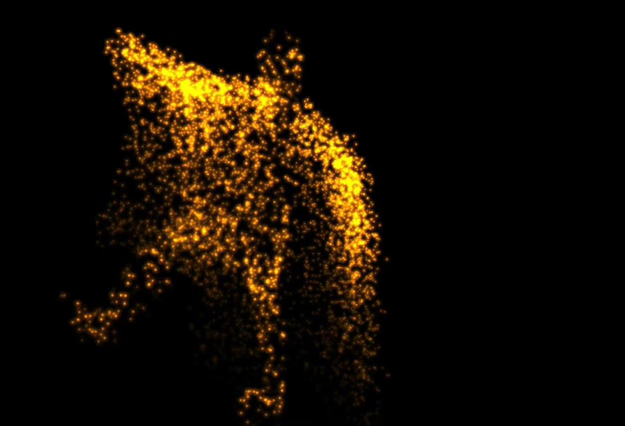 全息光影-网红人影粒子