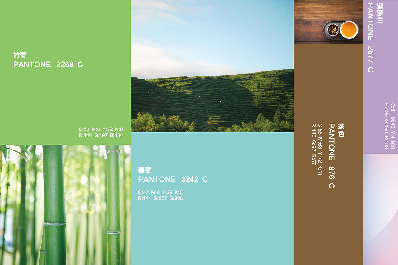 白茶品牌 TMS太姥山（图ZMTM0ODk3MjIw） - 品牌 - 站酷设计师正杨品牌咨询MUAD原创素材 - 站酷ZCOOL