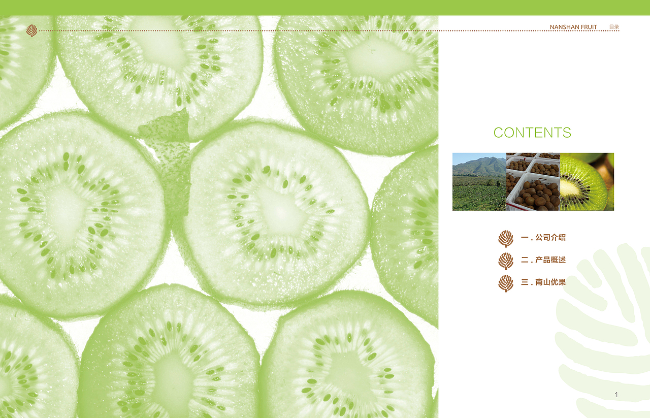 獼猴桃 宣傳冊(cè)（圖ZMjE1NDkzNDA=） - 書籍/畫冊(cè) - 站酷設(shè)計(jì)師菲菲geek原創(chuàng)素材 - 站酷ZCOOL