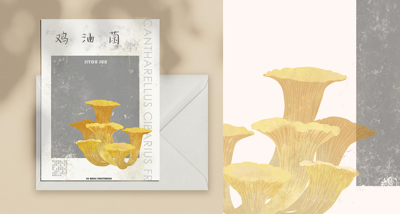 云南野生菌 | 非 致幻图谱