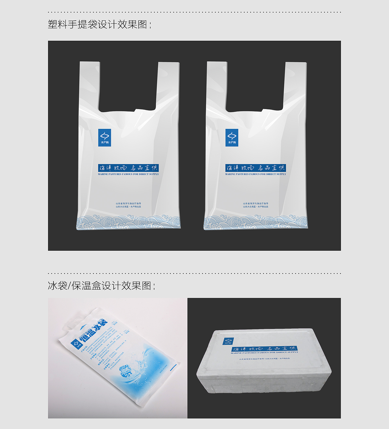 产品标准化包装设计展示