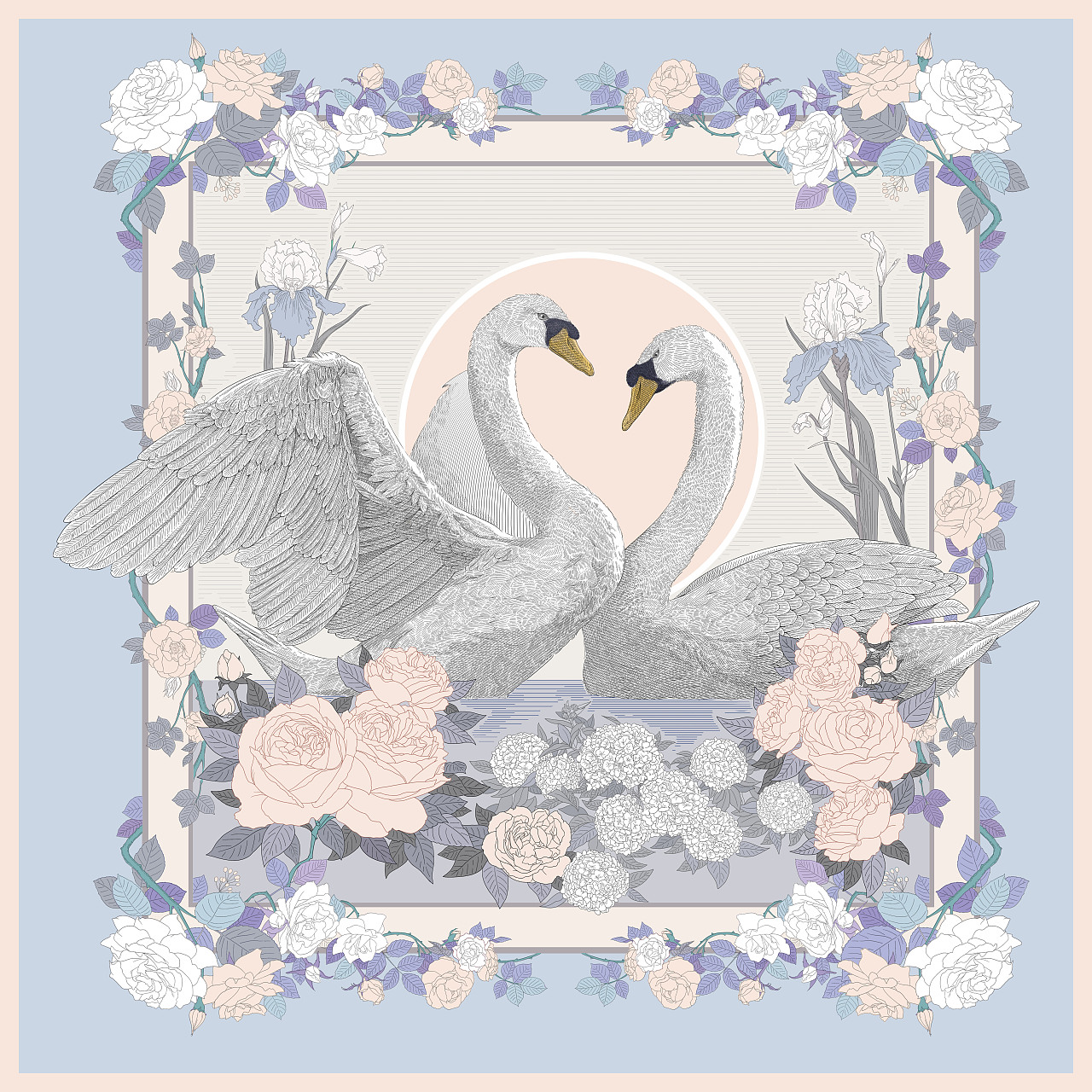 疣鼻天鹅 Cygnus olor：色彩 step1