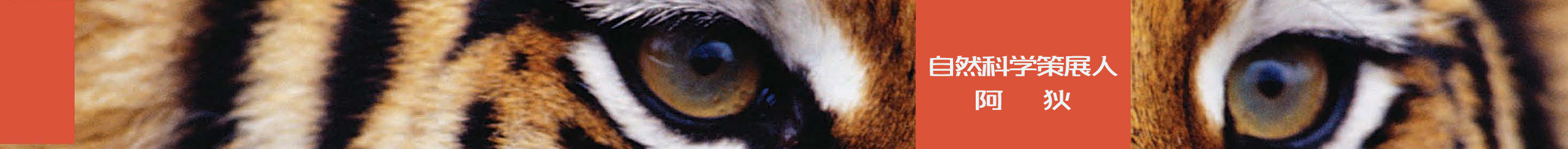 科普策展人阿狄的个人主页（封面预览） - 主页封面设置 - 站酷设计师科普策展人阿狄原创素材 - 站酷ZCOOL