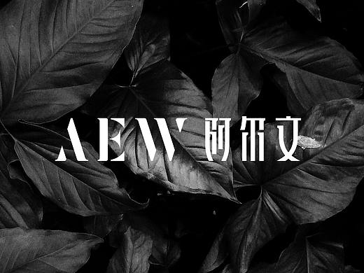 AEW阿尔文男装 品牌设计