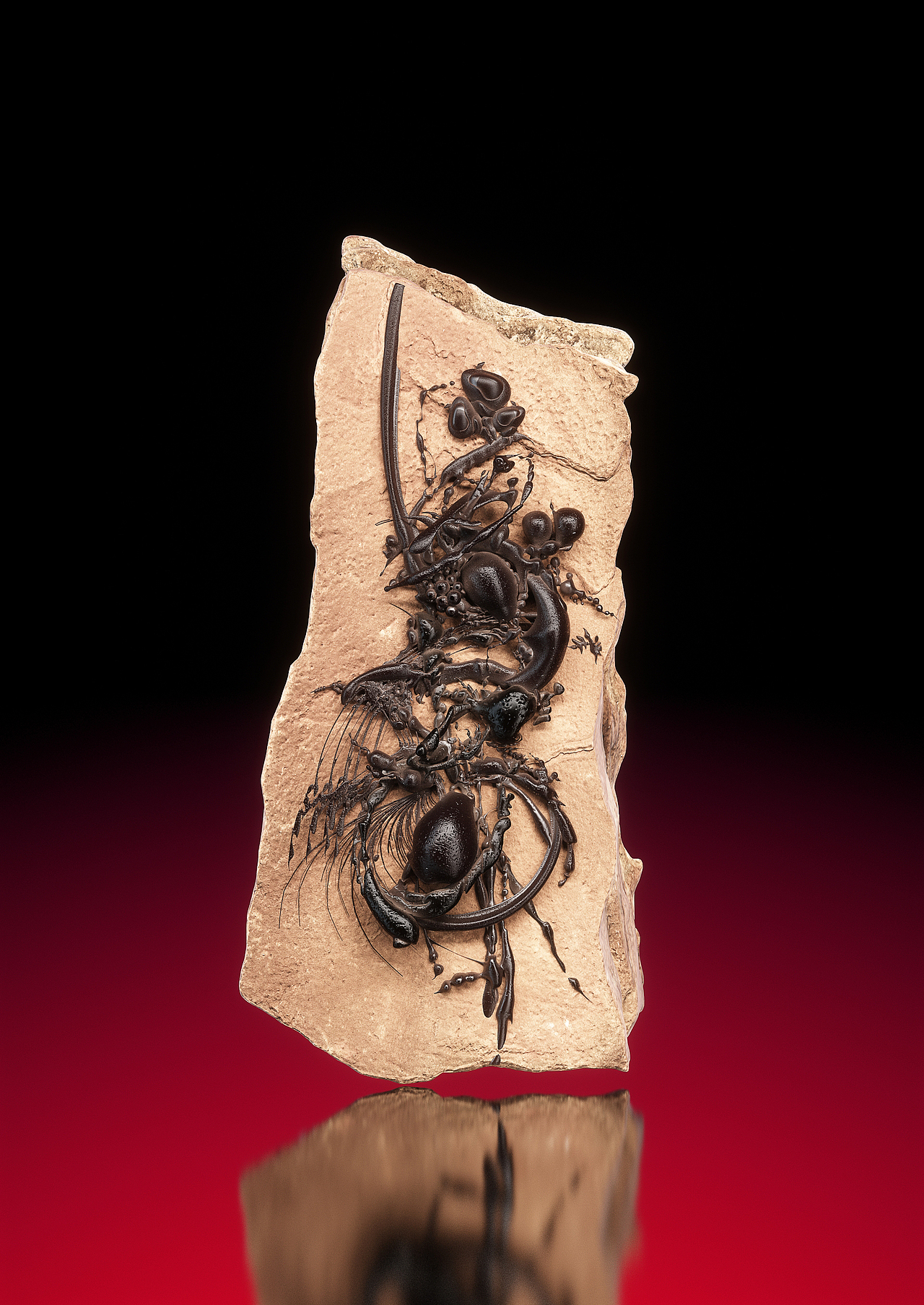 團: [Яс06-蟶⁴]
Dabeiyuzhou: 11:40pm 03.10 2020