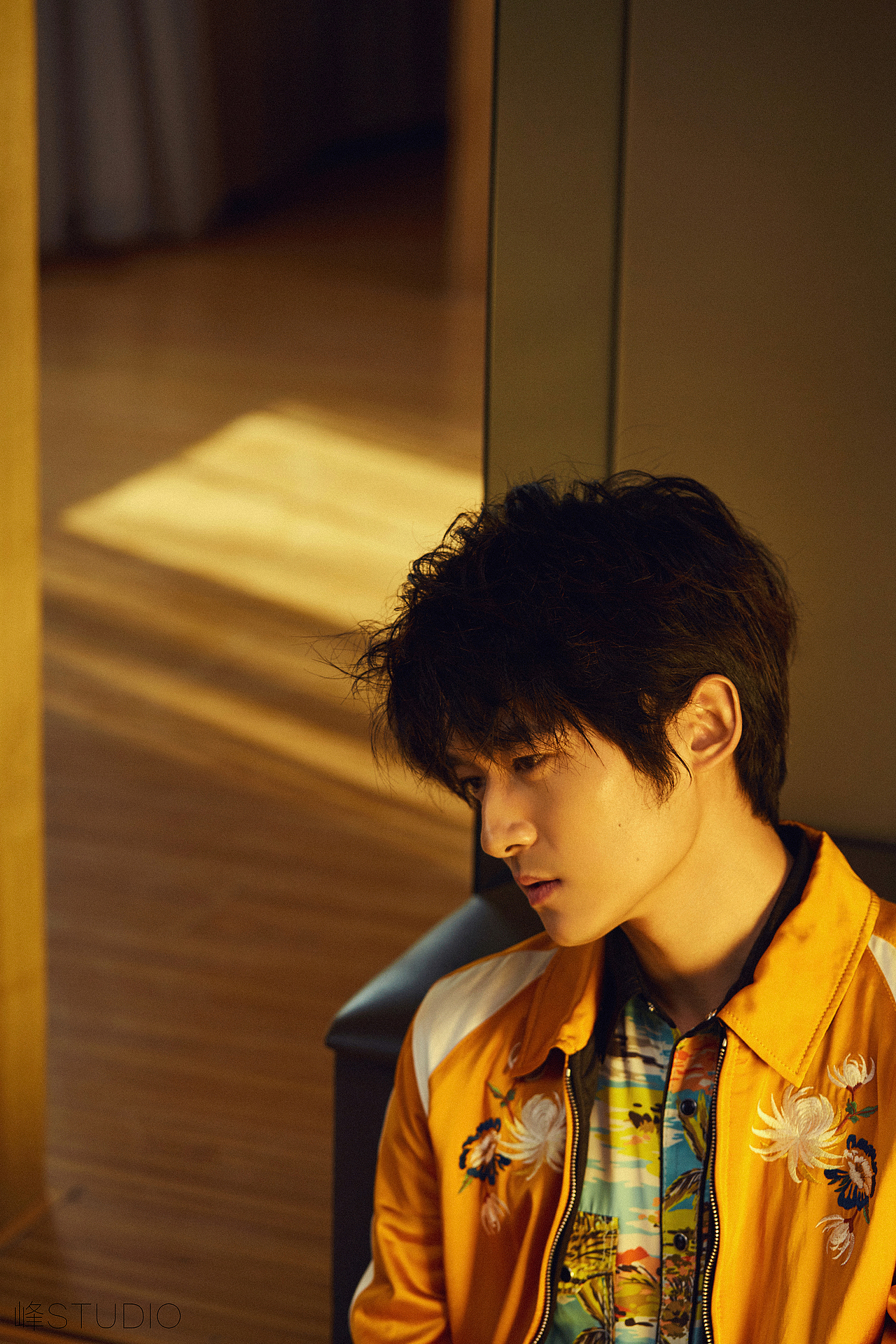 佟梦实|摄影|修图/后期|修图师刘峰_原创作品-站酷zcool