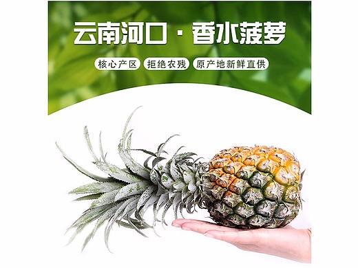 云南河口香水菠萝