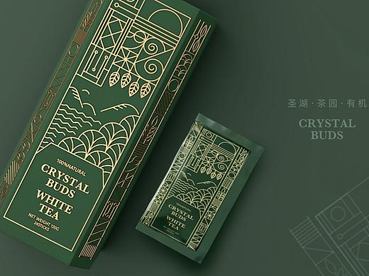 茶叶包装设计提案2
