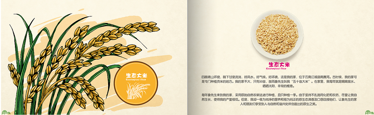 农产品手绘画册