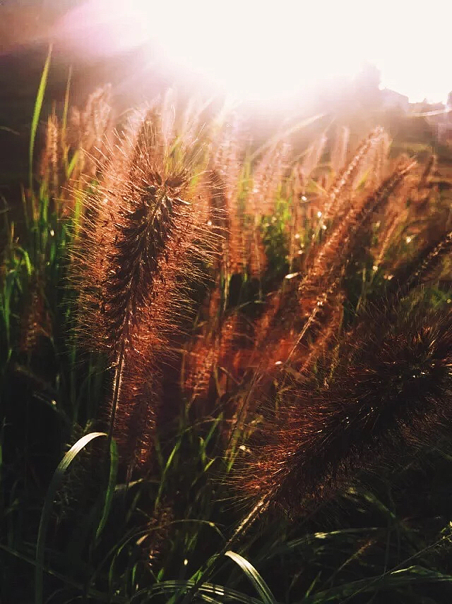 个人p（图ZNDg4OTEwMTI=） - 风光摄影 - 站酷设计师爱你的章鱼哥原创素材 - 站酷ZCOOL