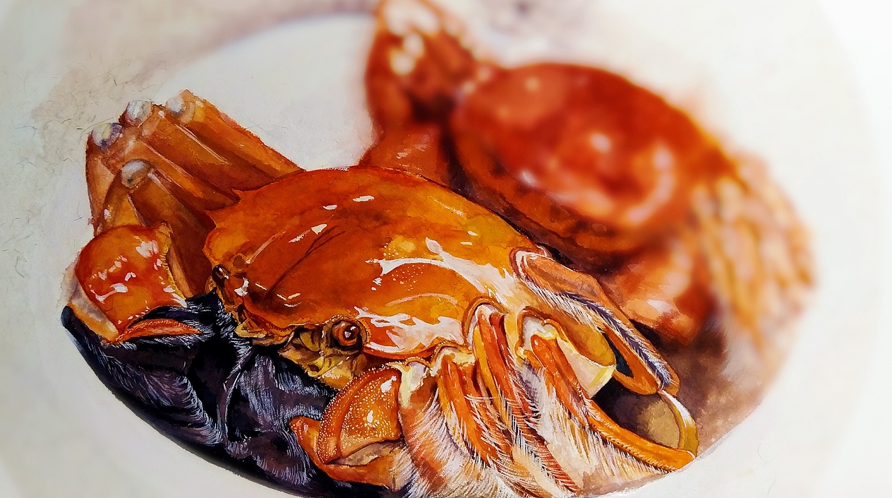 水彩大闸蟹|纯艺术|绘画|涛仔123 - 原创作品 - 站酷 (zcool)