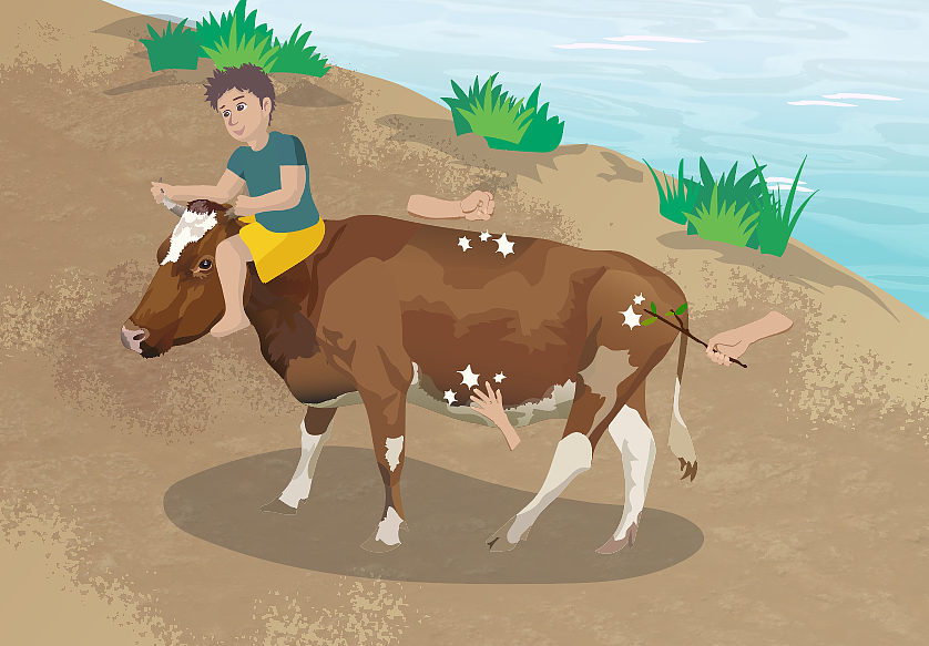 课文插画-牛与鹅