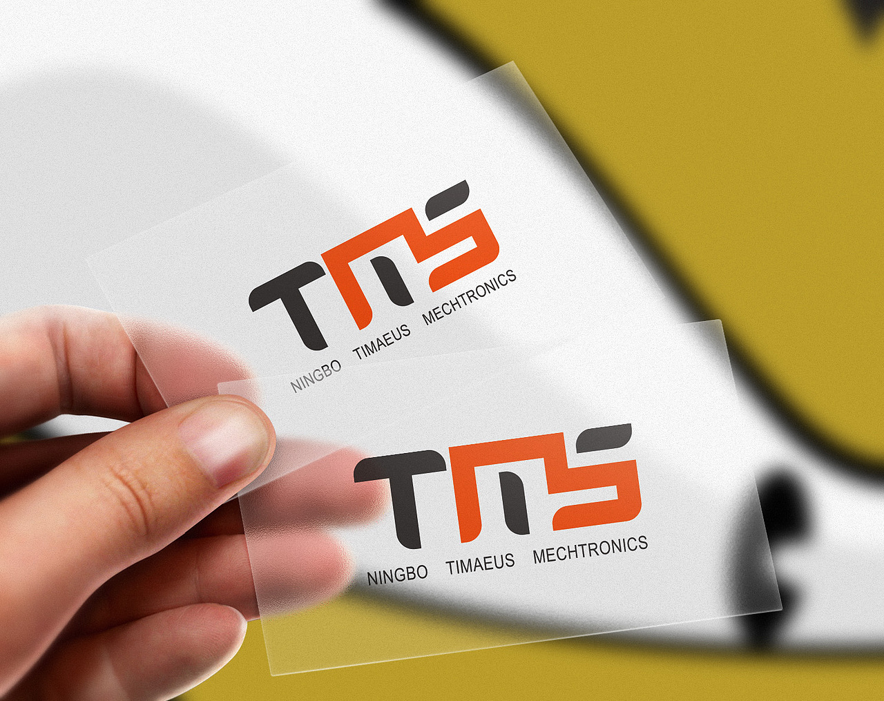 宁波泰门斯机电TMS LOGO设计