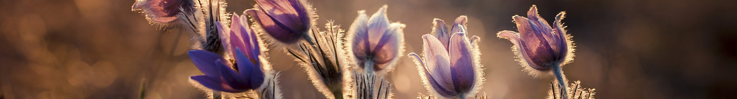 DUSHUI的个人主页（背景预览） - 主页背景设置 - 站酷设计师DUSHUI原创素材 - 站酷ZCOOL