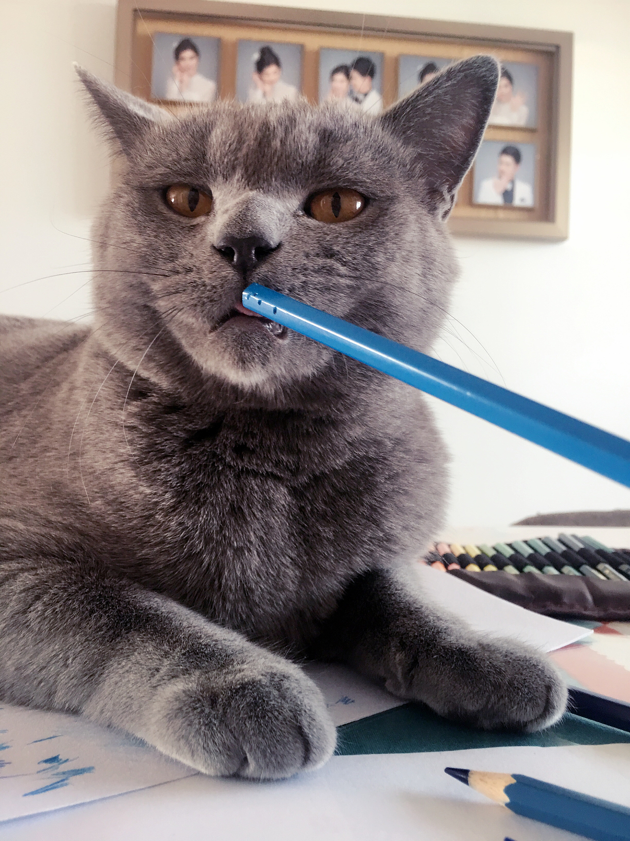 《我的家鄉(xiāng)-新東勝》（圖ZODMwMTkyMjQ=） - 繪畫 - 站酷設(shè)計(jì)師完美MCL原創(chuàng)素材 - 站酷ZCOOL