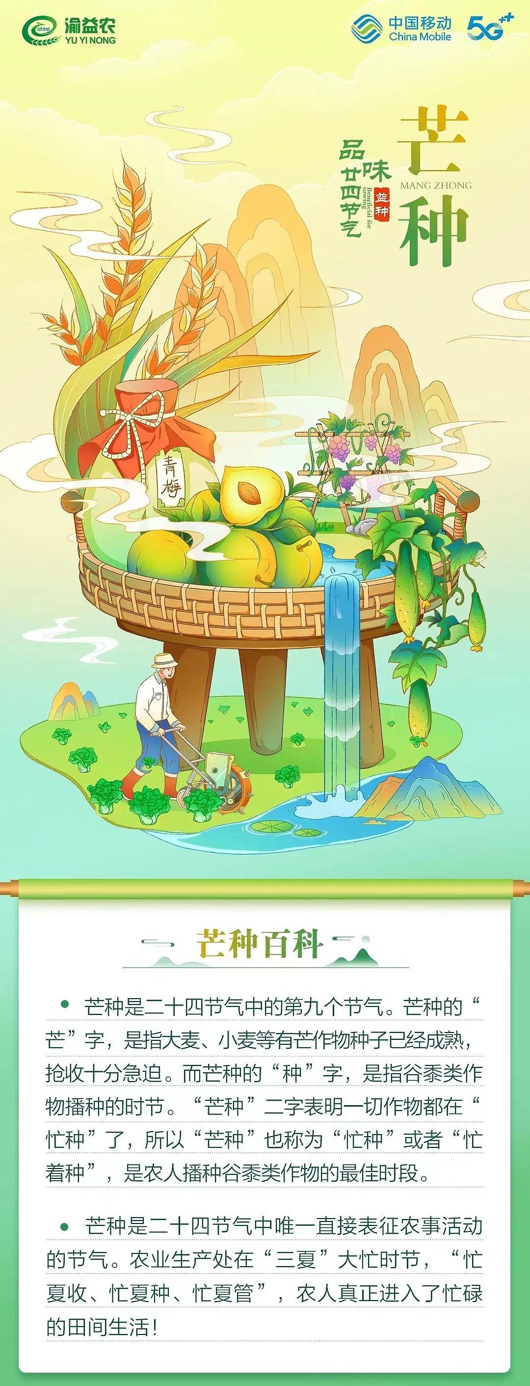 二十四节气之： 芒种（图ZMzU2MDU0ODY0） - 商业插画 - 站酷设计师戴月y原创素材 - 站酷ZCOOL