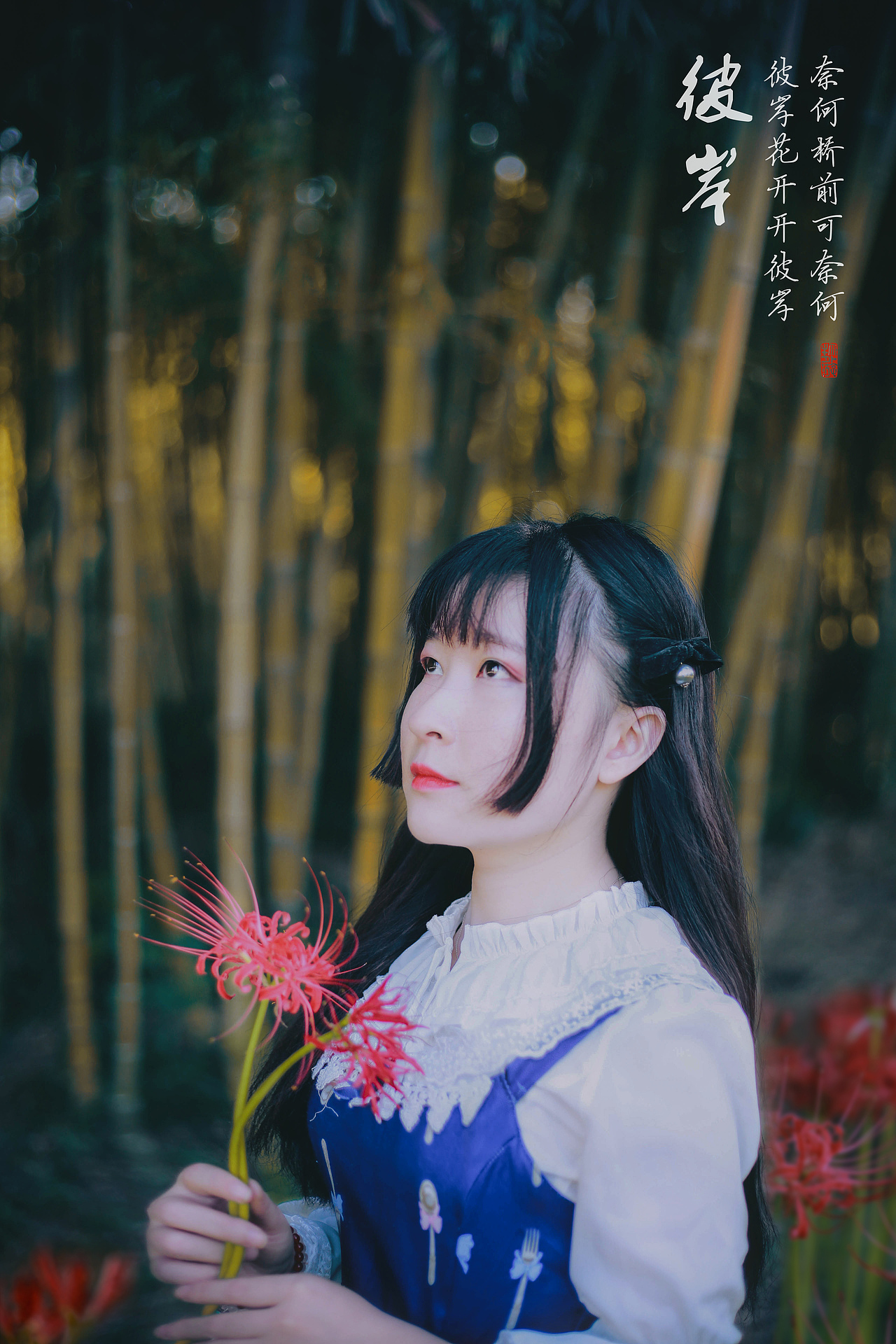 彼岸花开开彼岸