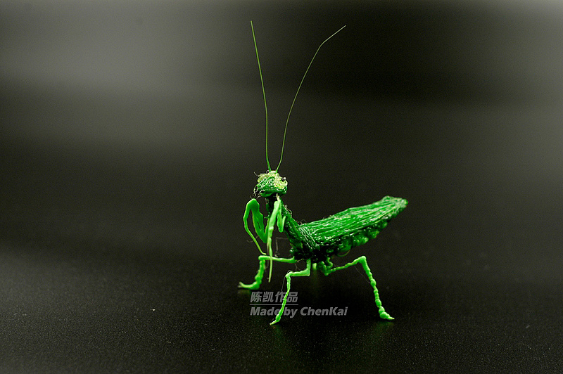 ck:3d打印笔作品之昆虫篇