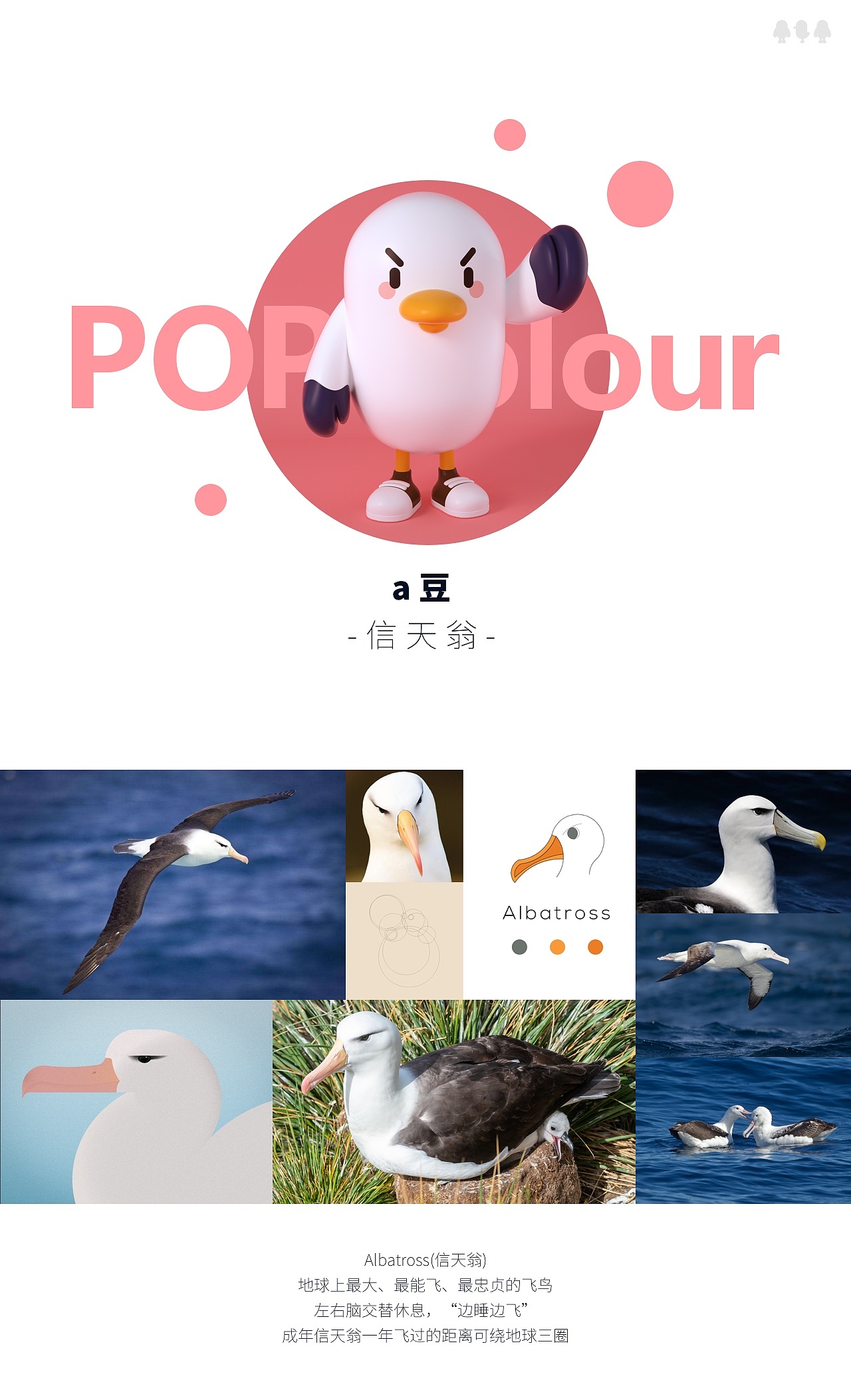 a豆IP设计-信天翁