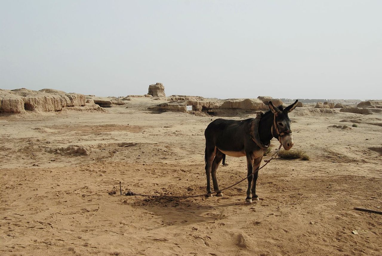 新疆吐鲁番高昌故城
