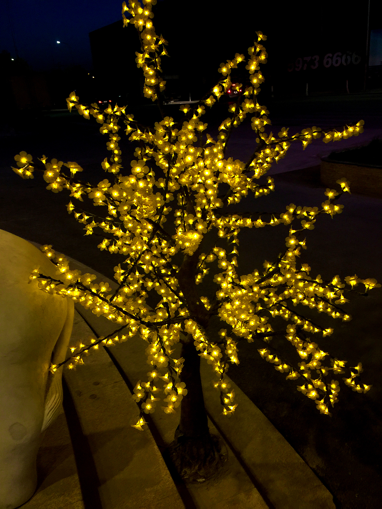 某个角落安静的夜晚