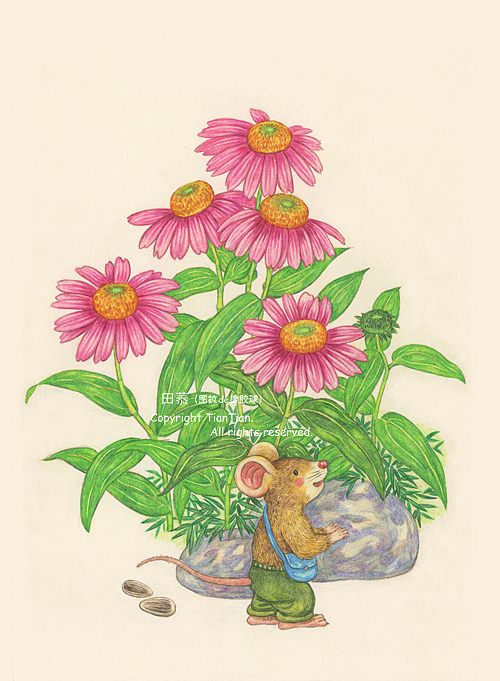 牧笛的乡村记事(二)