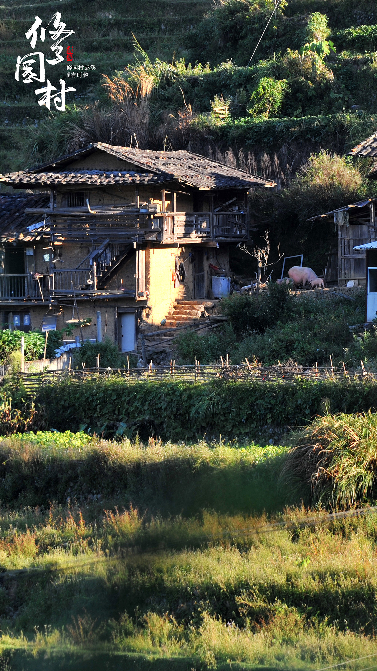 大山小村——修园