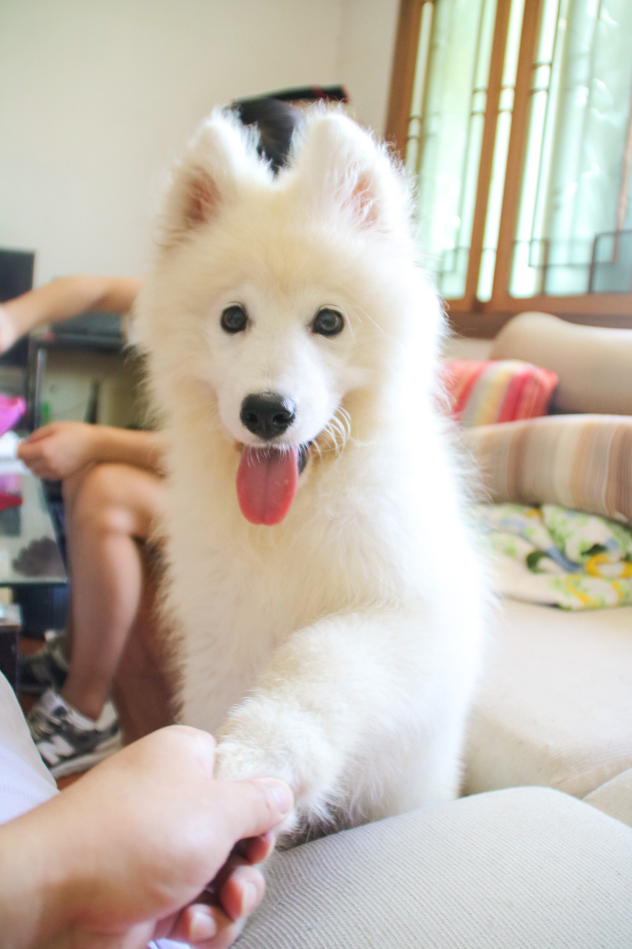 生活隨拍（圖ZOTgyMDA5NTY=） - 人像攝影 - 站酷設計師大小強同學呀原創(chuàng)素材 - 站酷ZCOOL