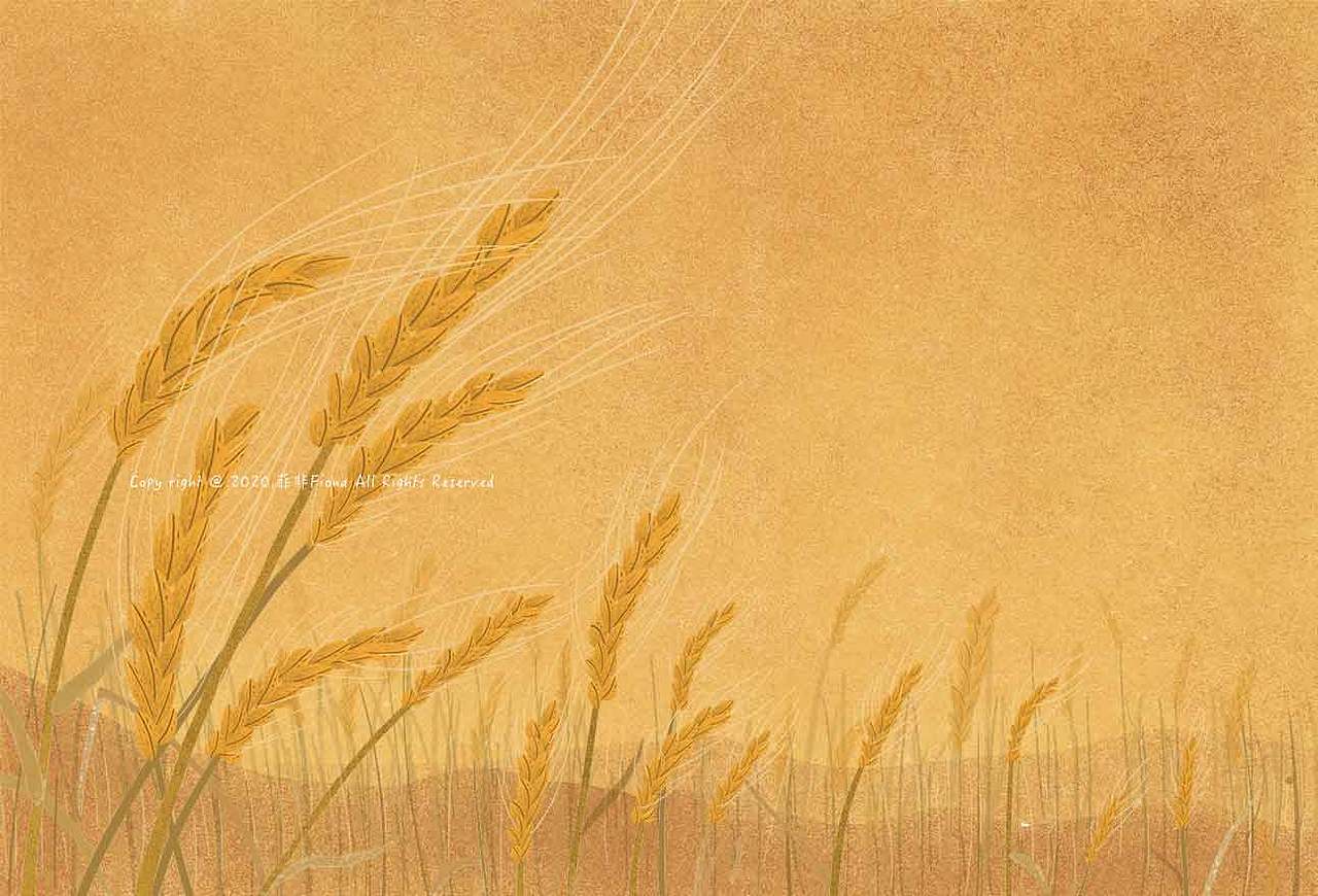 一组关于农作物的插画（图ZMjAzNjQ0MTE2） - 商业插画 - 站酷设计师菲非Fiona原创素材 - 站酷ZCOOL