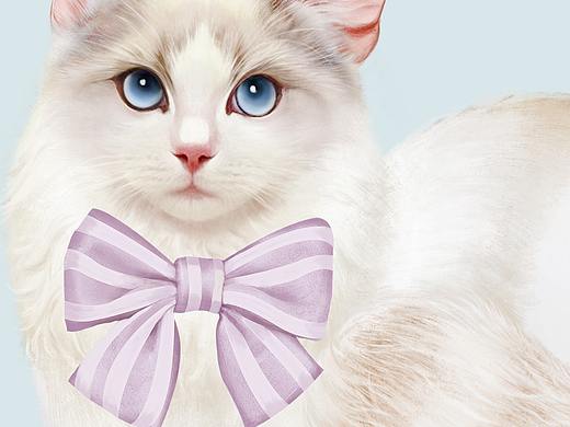 给rock baby设计的衣服印花纹样-猫咪和刺绣