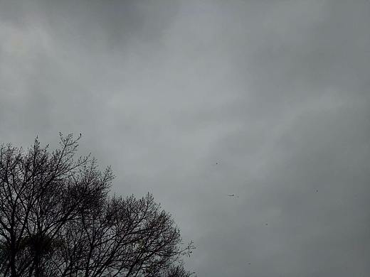 乌云里那只风筝