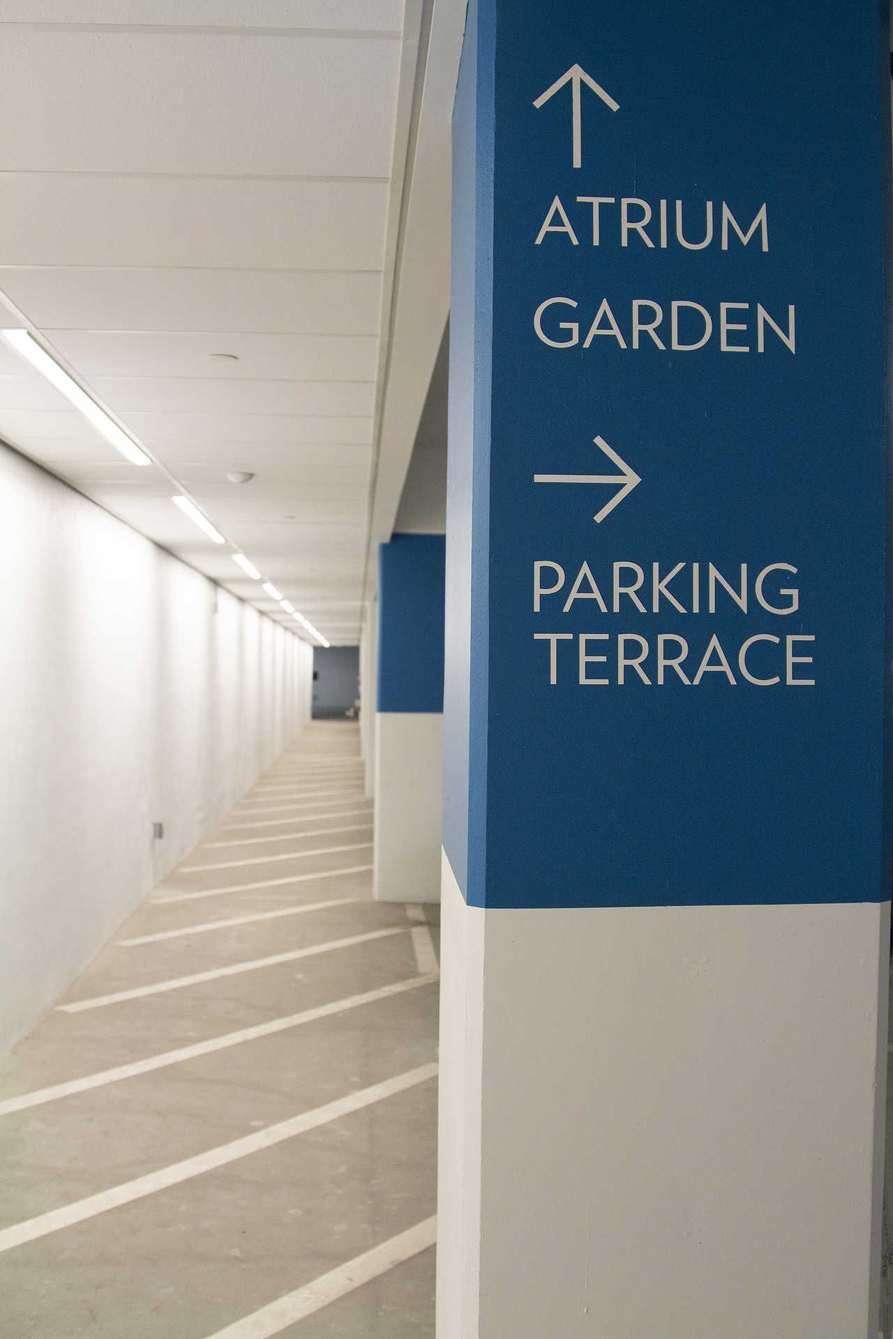 犹他州普罗沃市的NuSkin校区