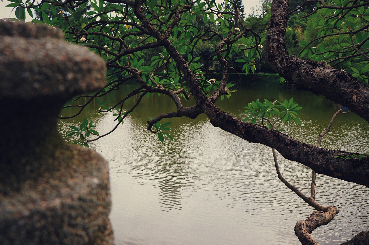 人闲夏日懒,浮生半日闲