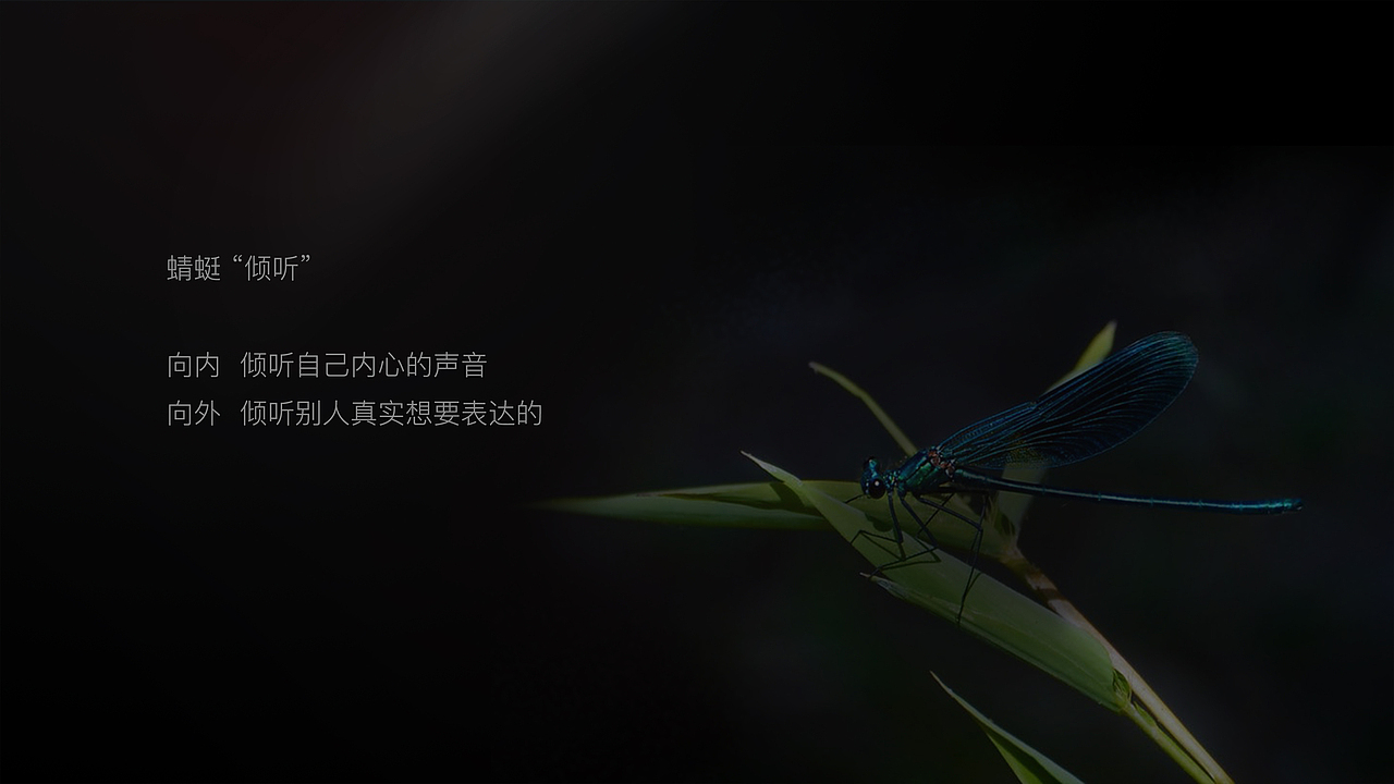 VI设计女性品牌（图ZMjQwMzY5MTA0） - 品牌 - 站酷设计师对白品牌原创素材 - 站酷ZCOOL