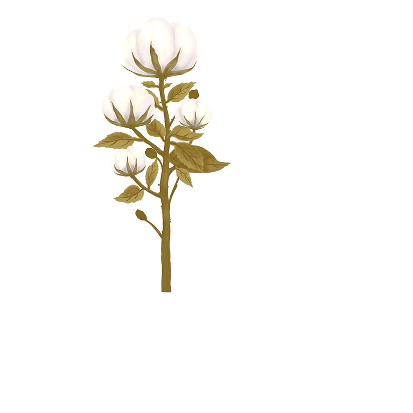 手绘速写打卡D2（图ZMzI0ODY4NjQ0） - 艺术插画 - 站酷设计师星禾灿烂原创素材 - 站酷ZCOOL