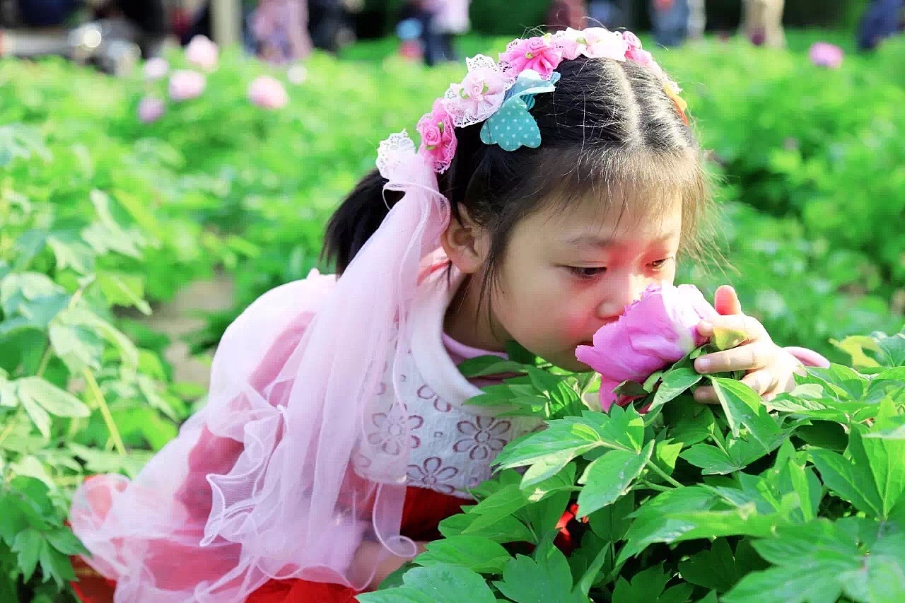 万绿丛中一点红