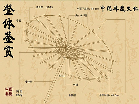 油纸伞信息可视化