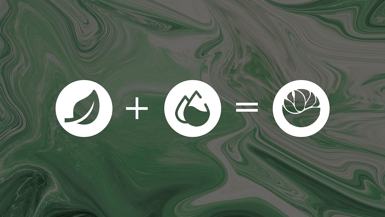 《原创logo设计》触野 水族盆栽（图ZMjA5MTMwMTIw） - Logo - 站酷设计师以左品牌创意原创素材 - 站酷ZCOOL