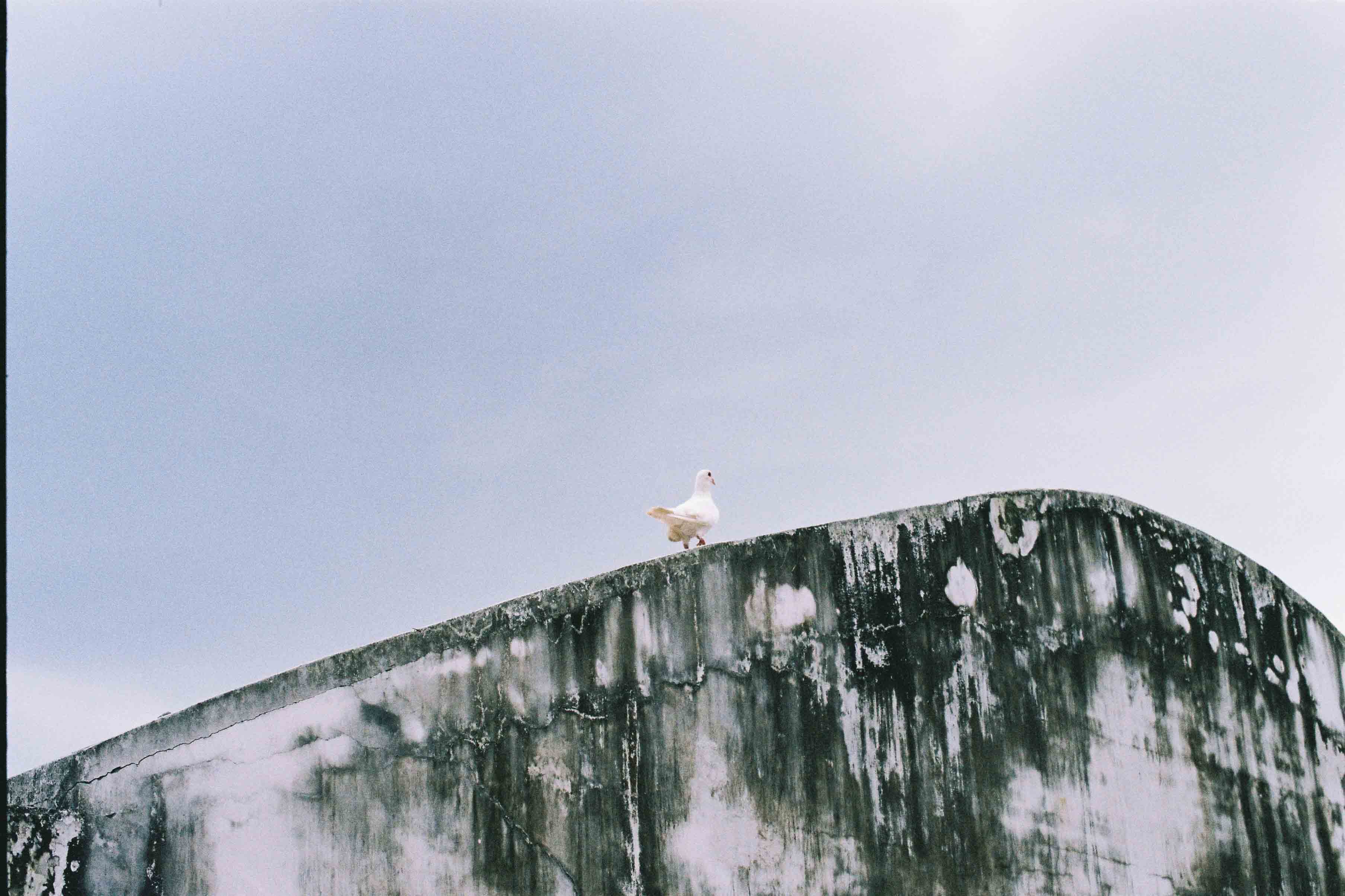 六相和光的个人主页（背景预览） - 主页背景设置 - 站酷设计师六相和光原创素材 - 站酷ZCOOL