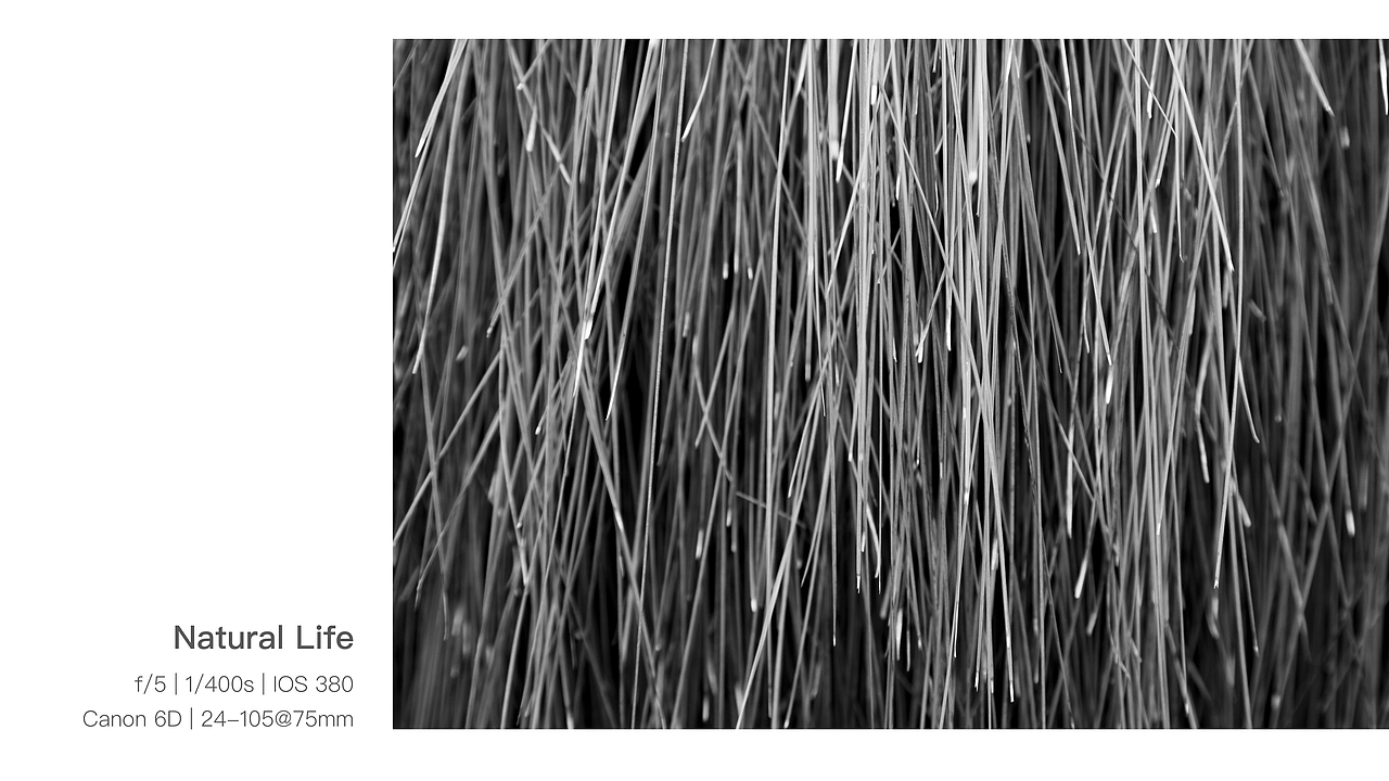 交互设计作品集