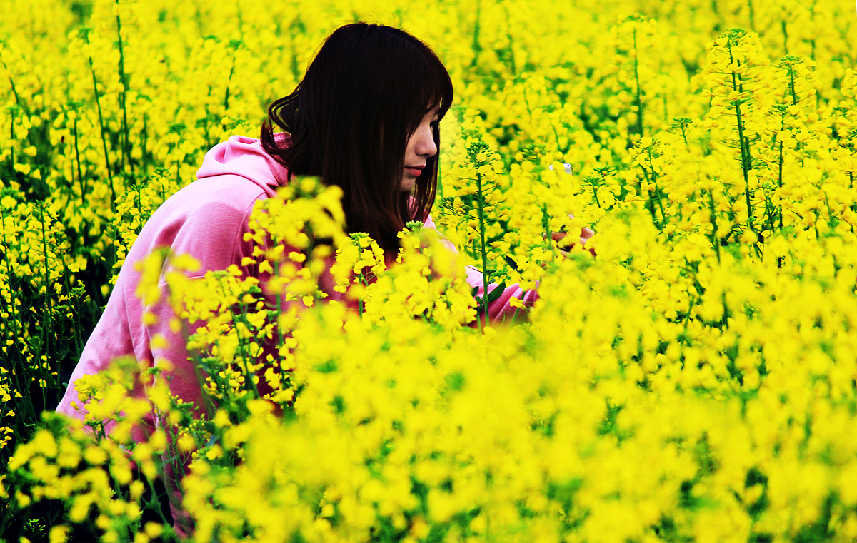 风景人物拍摄-春花阴雨油菜花