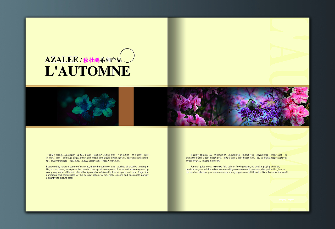 画册 VI（图ZMTQxODc3MjA=） - 品牌 - 站酷设计师林之木平面设计原创素材 - 站酷ZCOOL