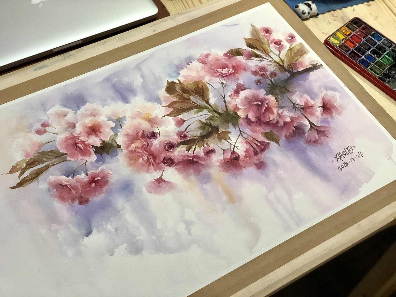 下一个春天去看樱花可好