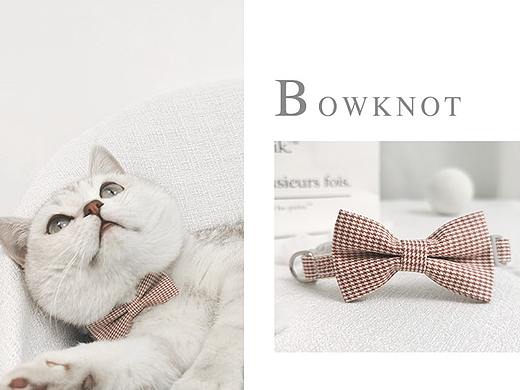 猫咪项圈（个人主页-ZNTI0MzMxNjA=） - 电商 - 站酷设计师珥瑶原创素材 - 站酷ZCOOL