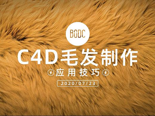 【教程分享】C4D毛发应用