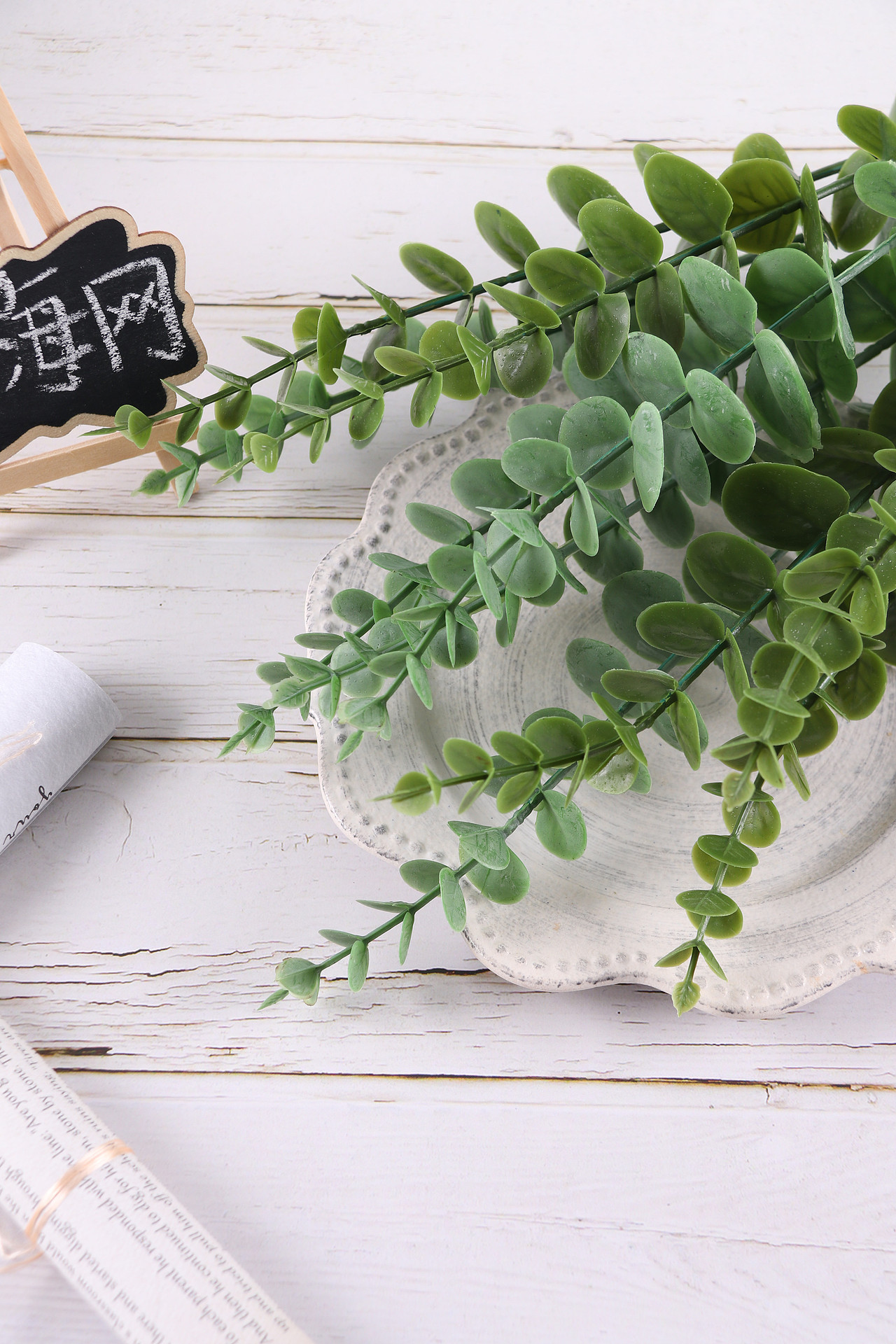 B03家居饰品\C11-仿真饰品\V06仿真尤加利叶X1