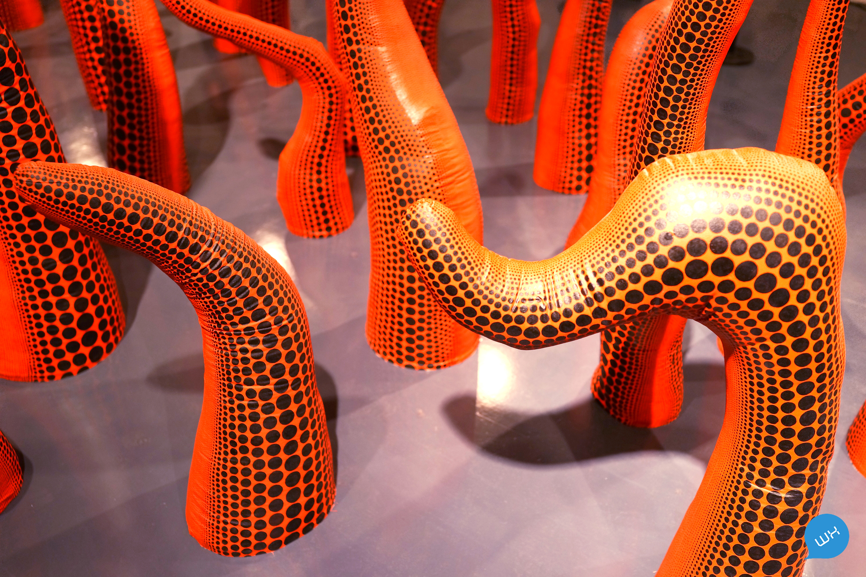 草间弥生——我的一个梦