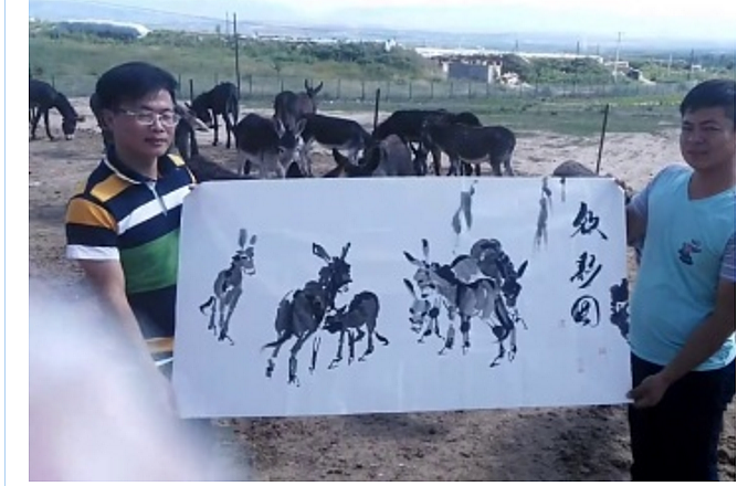 2江苏泰州周女士收藏买吴俊彬书画作品《富贵牡丹》6幅