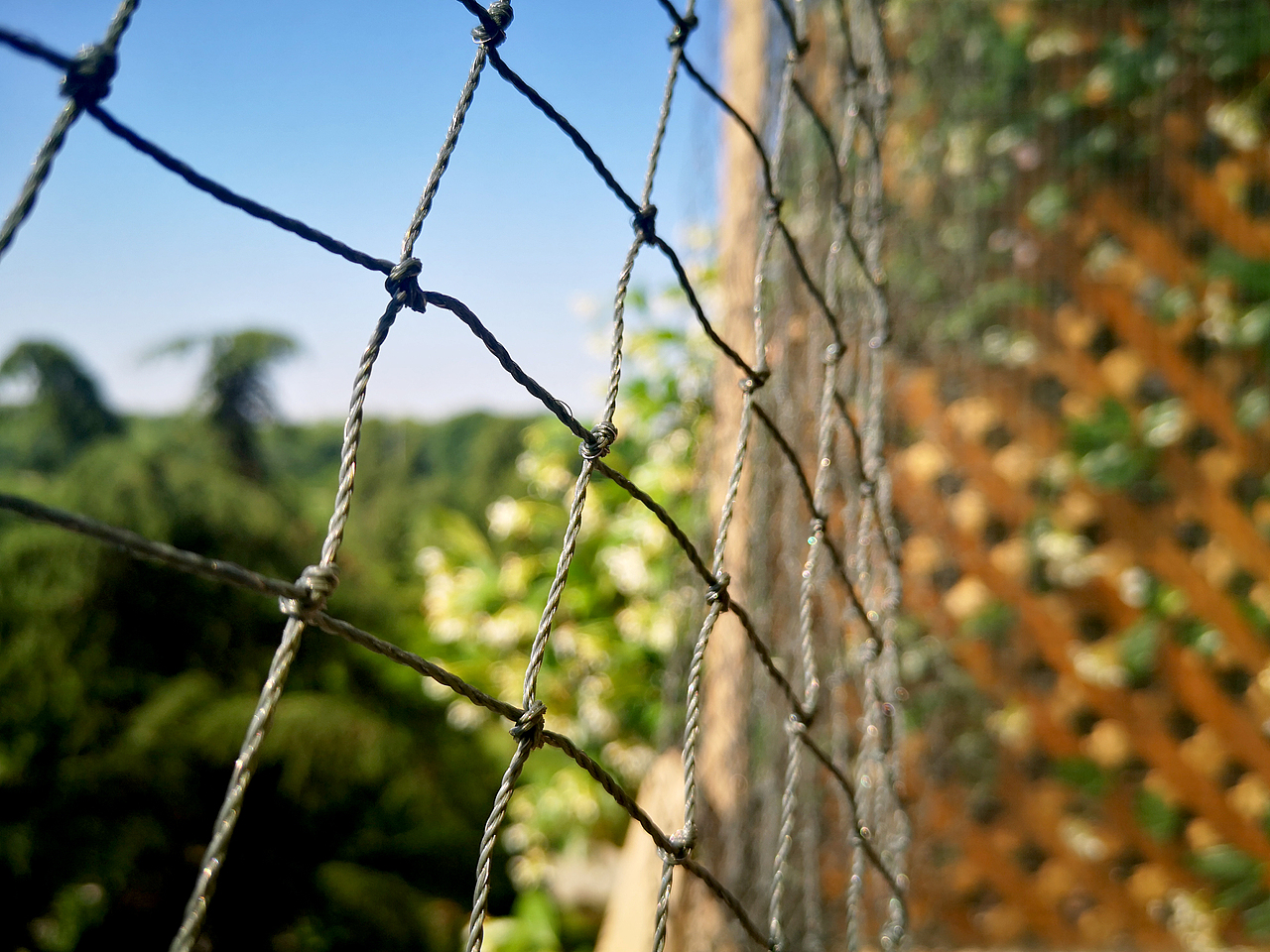 意大利隔离的日子